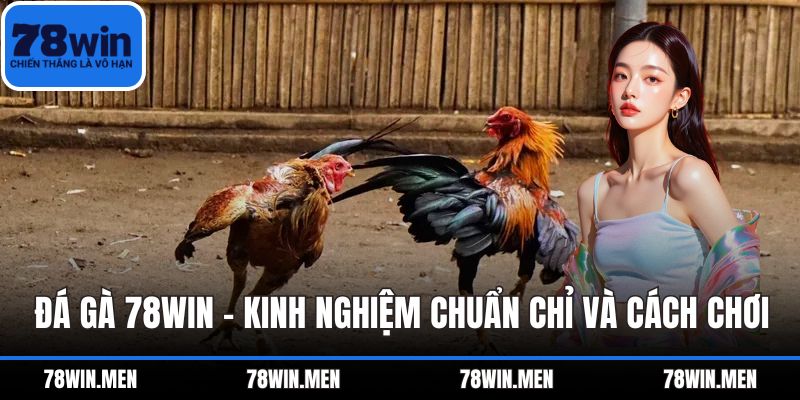 Đá Gà 78WIN