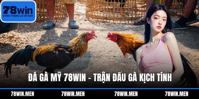 Đá Gà Mỹ 78WIN