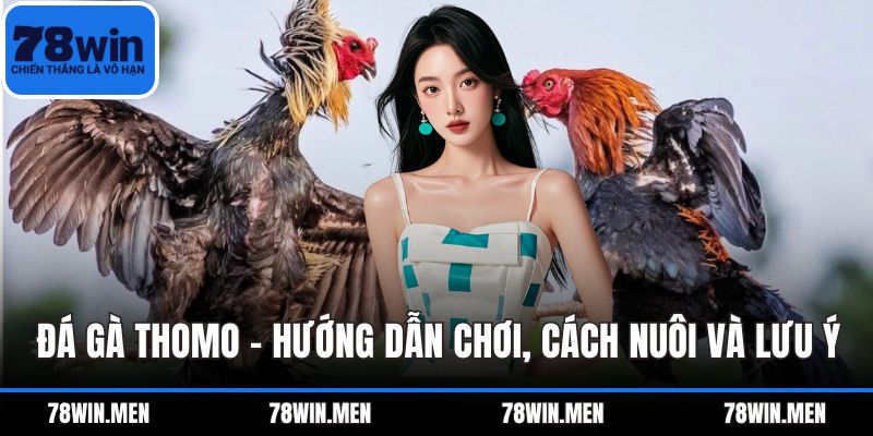 Đá Gà Thomo