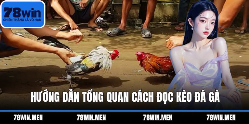 Hướng dẫn tổng quan cách đọc kèo đá gà
