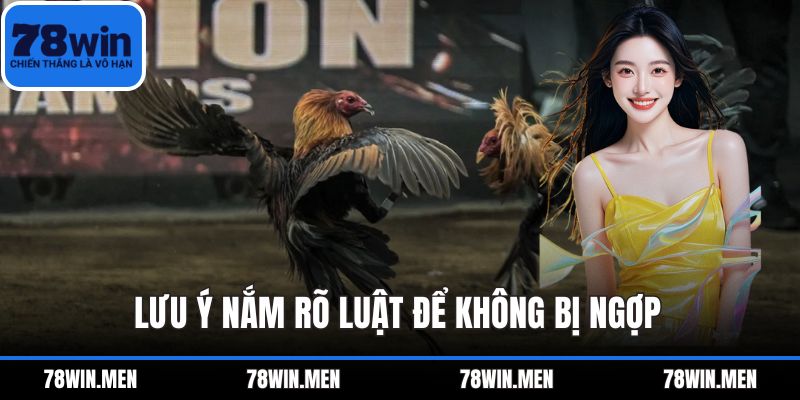 Lưu ý nắm rõ luật để không bị ngợp 